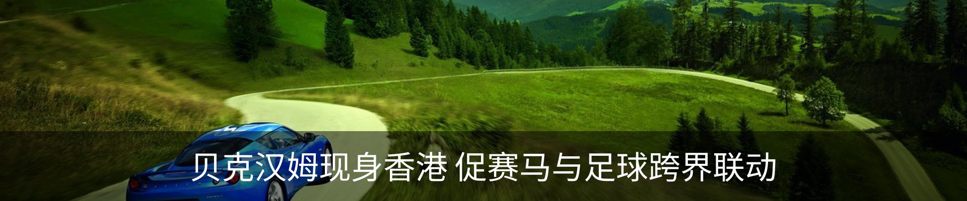 新闻动态